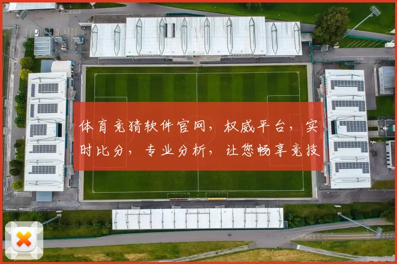 体育竞猜软件官网，权威平台，实时比分，专业分析，让您畅享竞技乐趣，赢取丰厚回报，必看指南