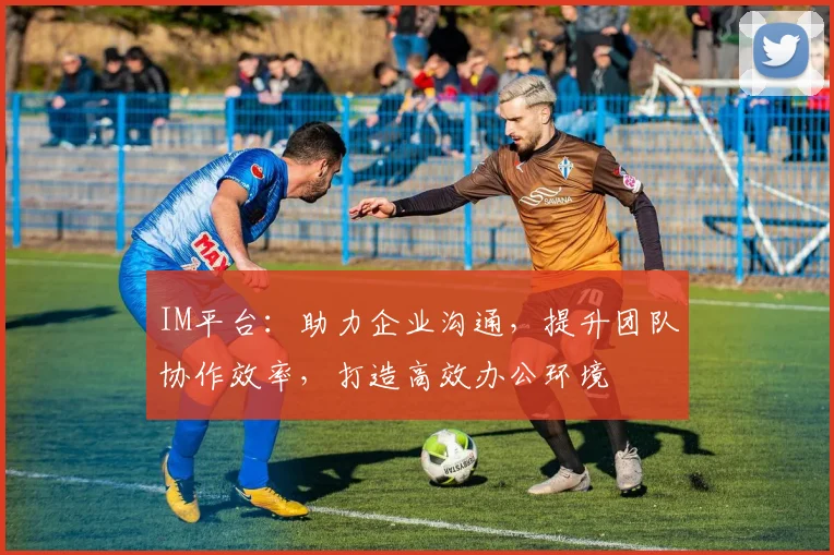 IM平台：助力企业沟通，提升团队协作效率，打造高效办公环境