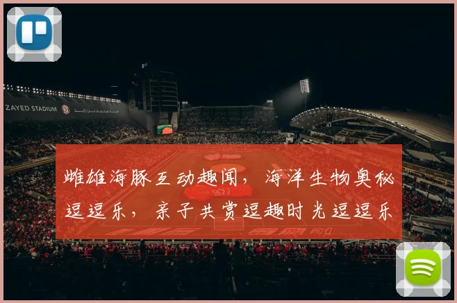 雌雄海豚互动趣闻，海洋生物奥秘逗逗乐，亲子共赏逗趣时光逗逗乐